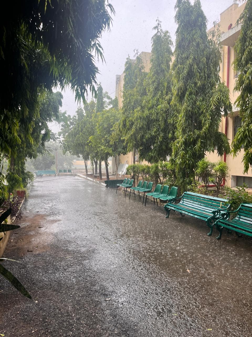 BIT Jaipur Campus photo 3